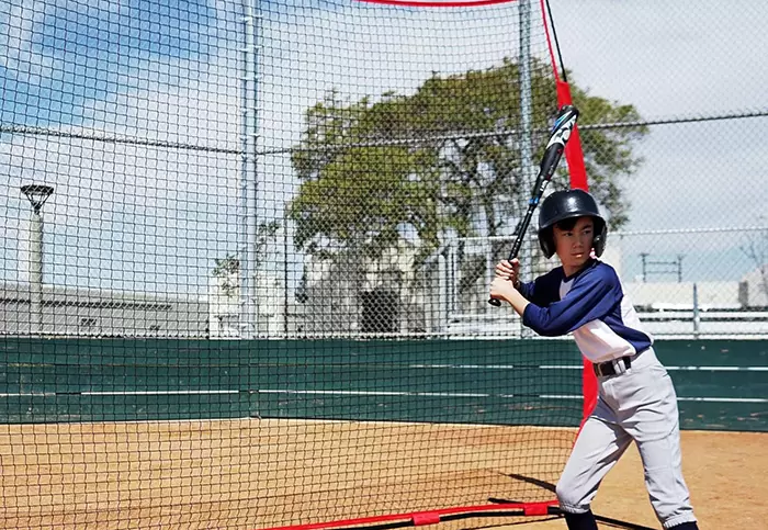 Rede de treino de beisebol Grupo III