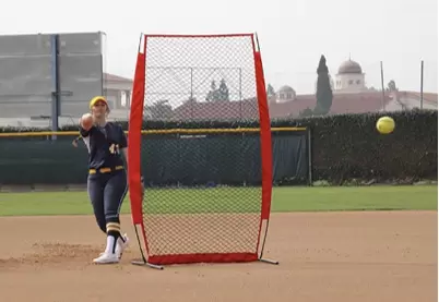 Rede de treino de beisebol Grupo V
