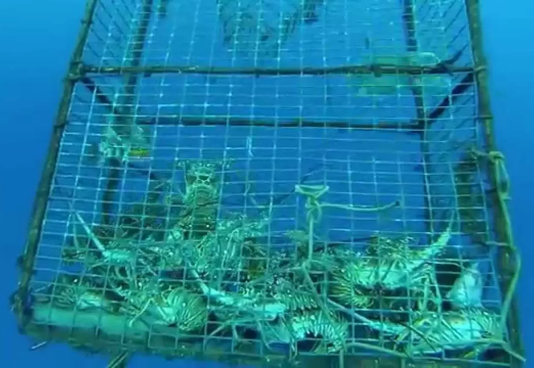 Redes de aquicultura de alto mar