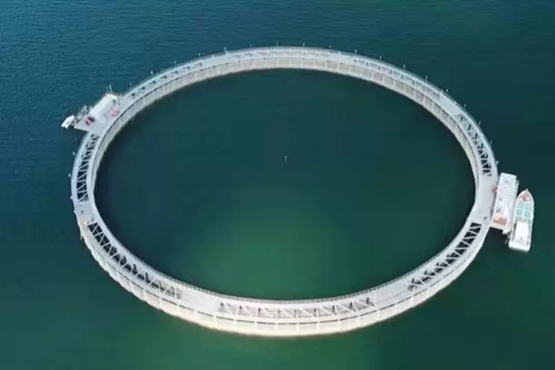 Projeto de rede para tubarões do Bao Neng Orange Fishing Sand Hotel