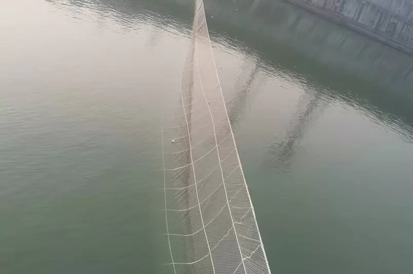 Yangtze Three Gorges aquicultura esturjão chinês 255 metros rede de barragem