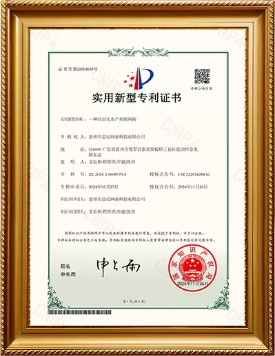 Certificado de Patente de Modelo de Utilidade